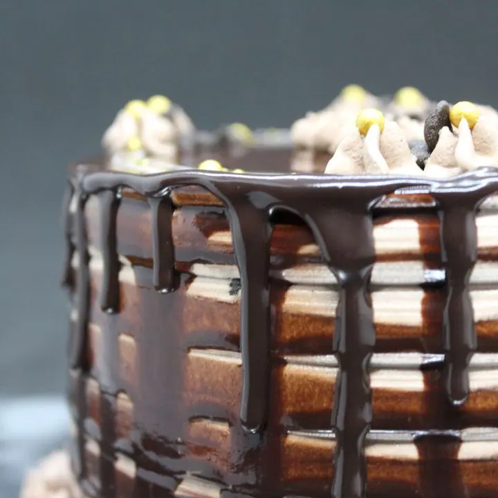 Chocolate Ganache Drip Cake — Tall chocolate cake with a dark ganache drip.