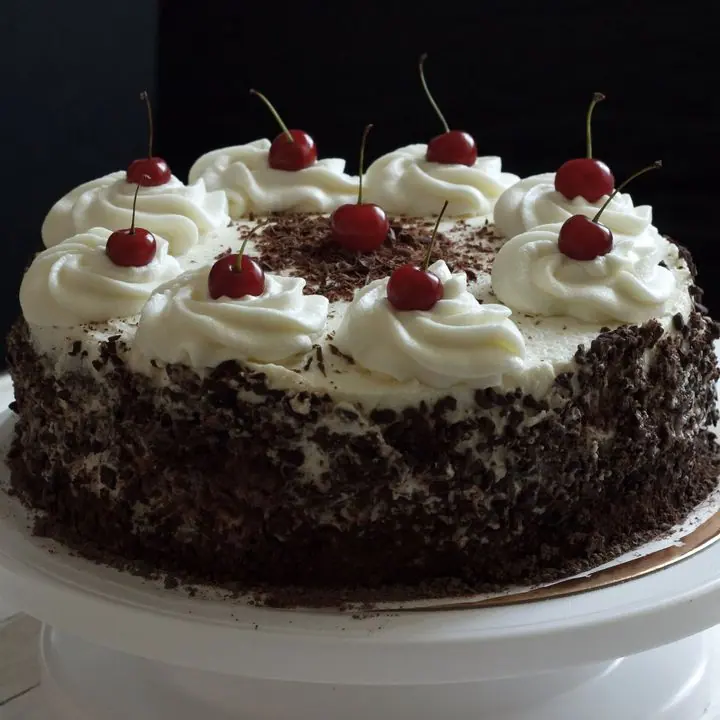 Black Forest Cake — Chocolate sponge, whipped cream and cherries.